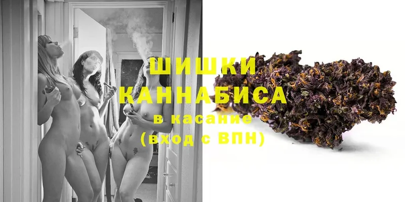 Бошки марихуана план  как найти закладки  Урюпинск 